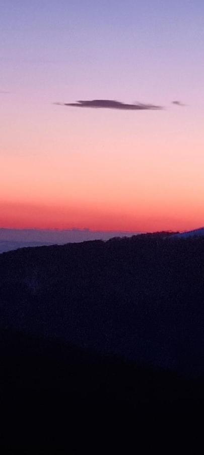 Pensiunea Royal Ranca Dış mekan fotoğraf